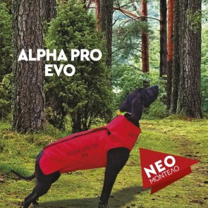 ALPHA PRO EVO ORANGE-650x650
